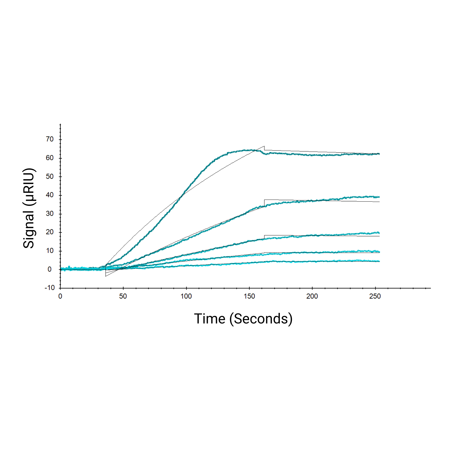 Future Fields Recombinant IL-2, Tag Free - SPR Functional Activity