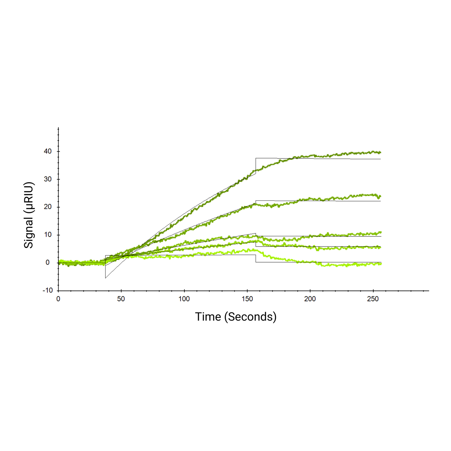 Recombinant Bovine FGF2