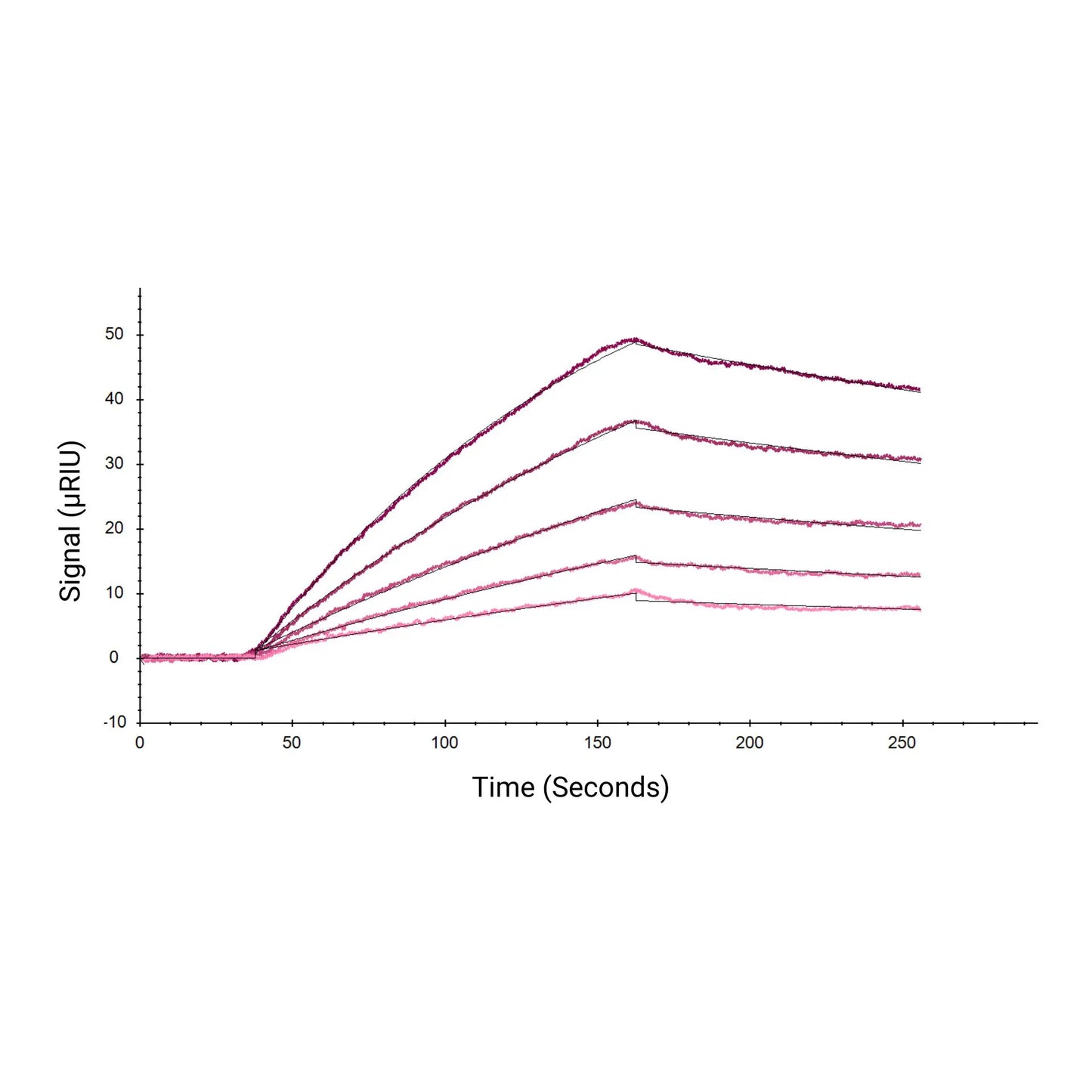 Future Fields Recombinant Human Prolactin, Tag Free - SPR Functional Activity