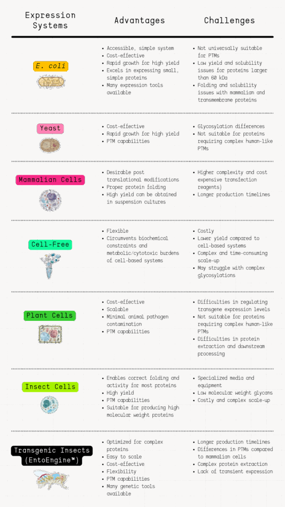 Summary chart of protein expression systems listing their advantages and challenges