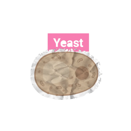 Scrapbook style image of yeast cell